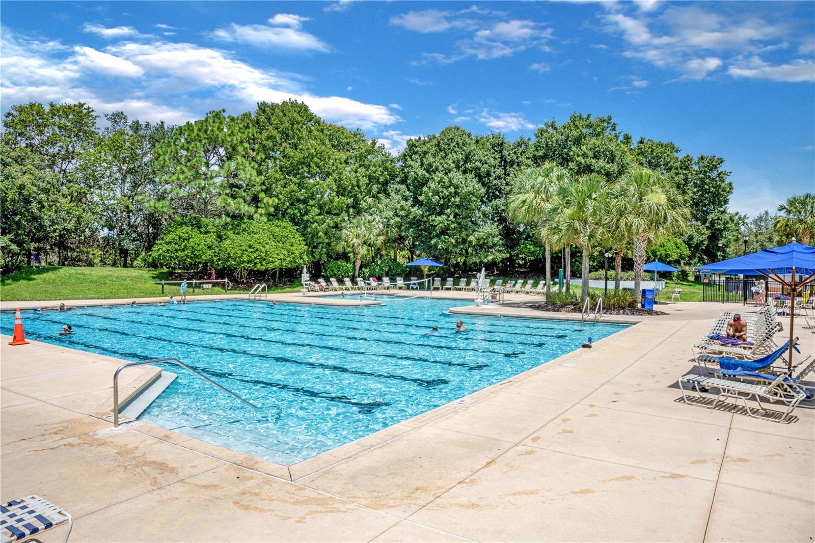 15555 MARTINMEADOW DR, LITHIA, FL, 33547