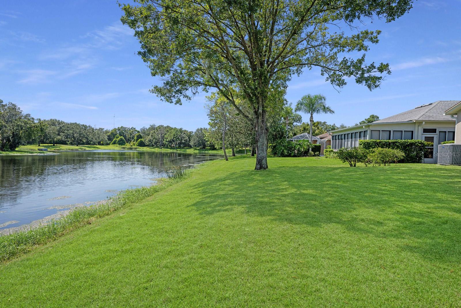 15555 MARTINMEADOW DR, LITHIA, FL, 33547