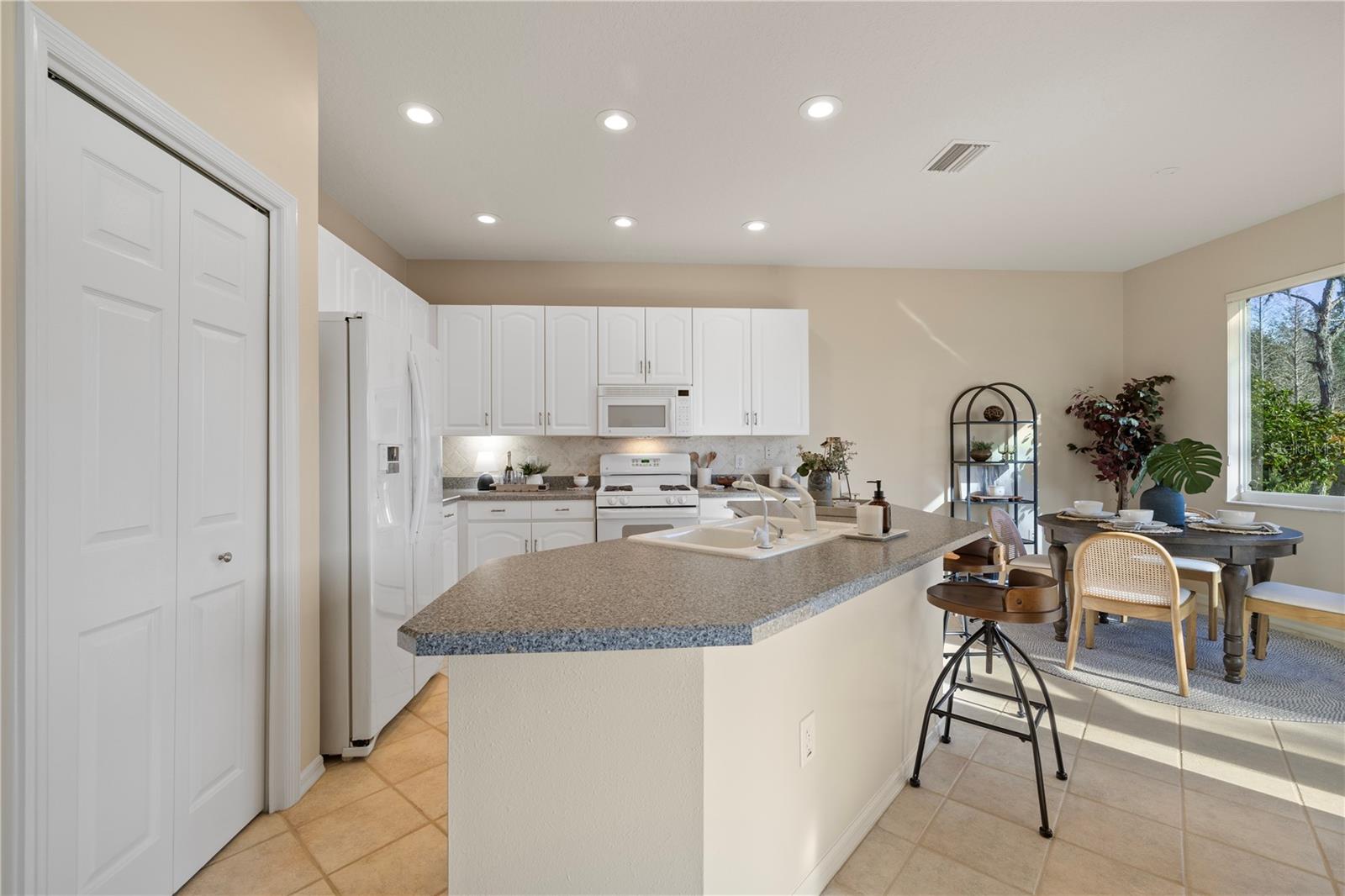 15555 MARTINMEADOW DR, LITHIA, FL, 33547