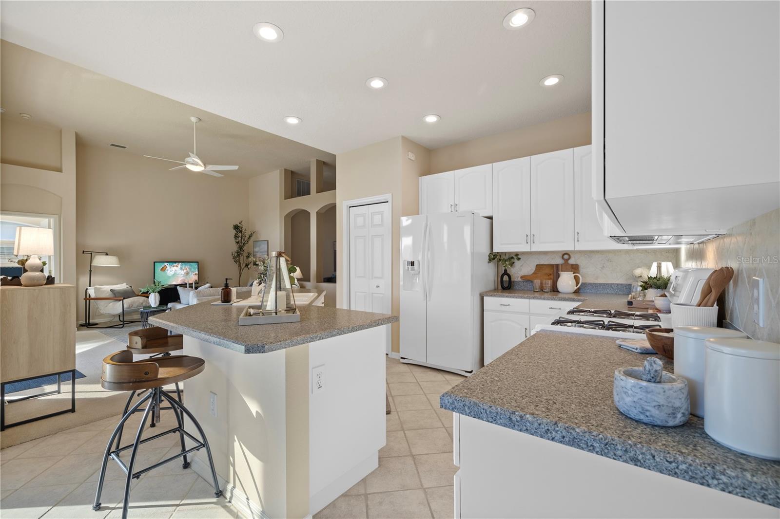 15555 MARTINMEADOW DR, LITHIA, FL, 33547