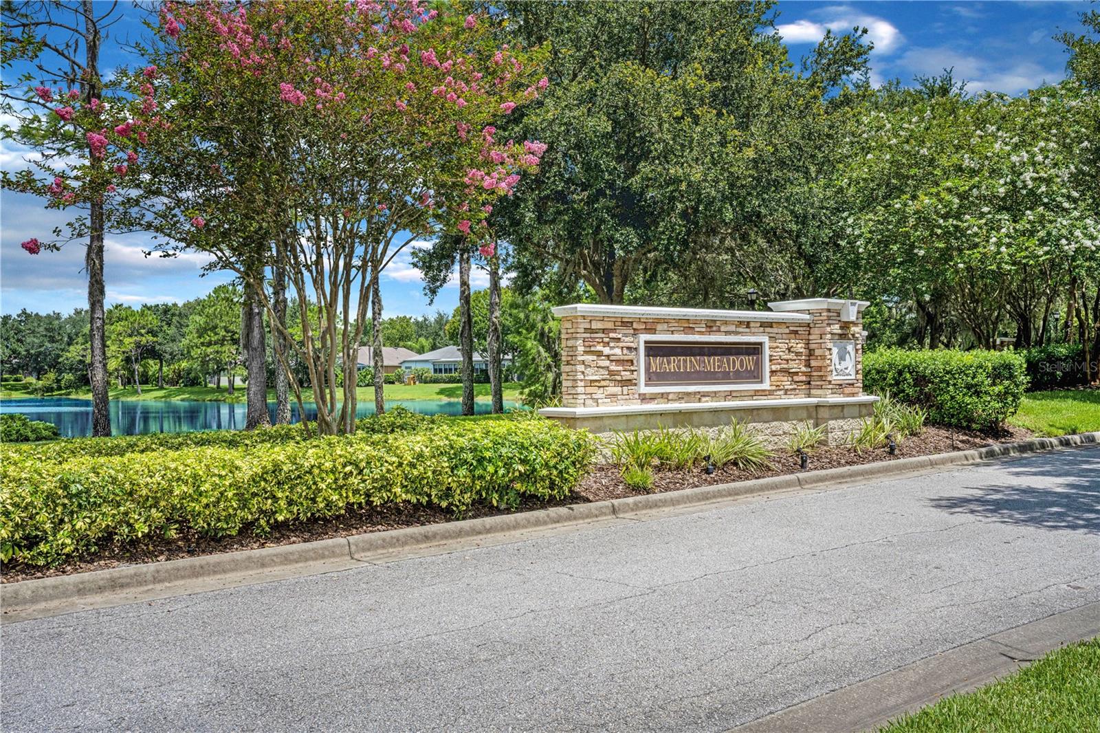 15555 MARTINMEADOW DR, LITHIA, FL, 33547