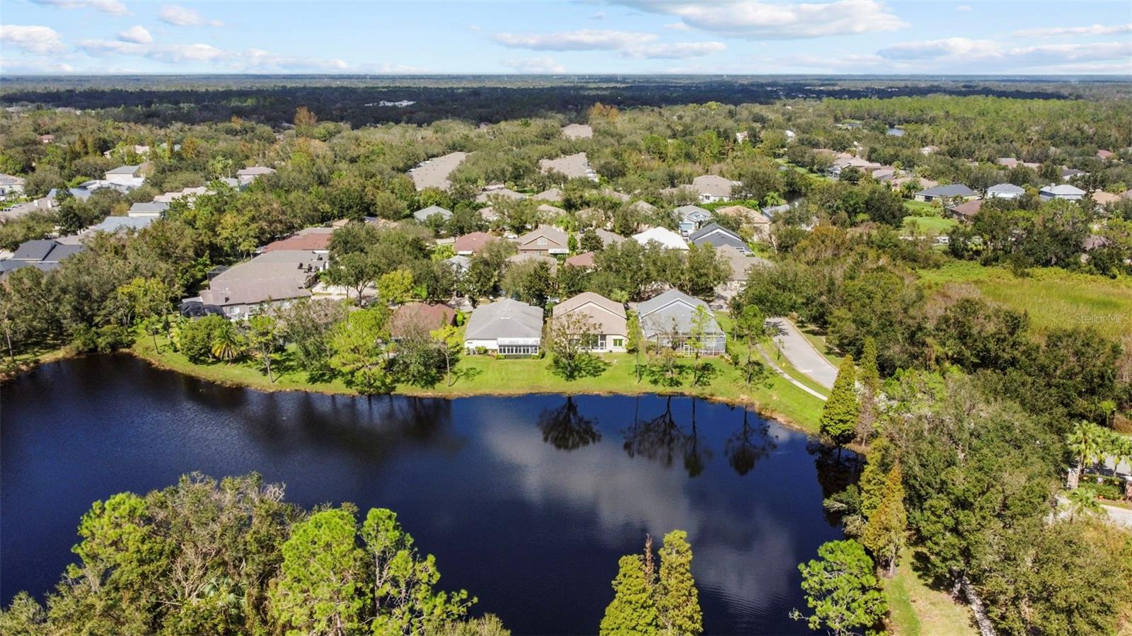 15555 MARTINMEADOW DR, LITHIA, FL, 33547