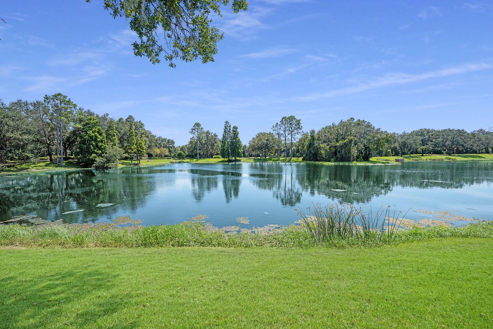 15555 MARTINMEADOW DR, LITHIA, FL, 33547