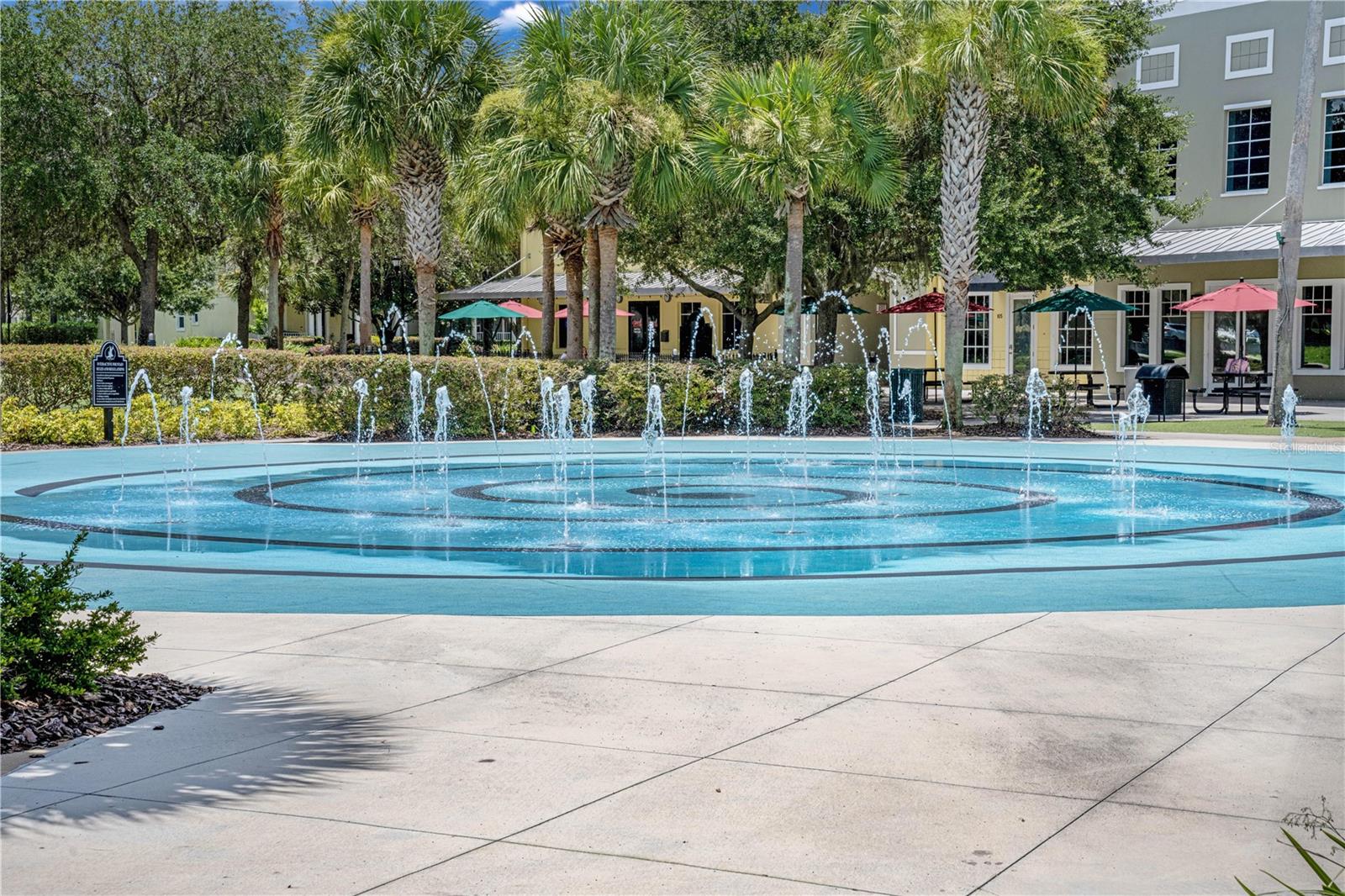 15555 MARTINMEADOW DR, LITHIA, FL, 33547
