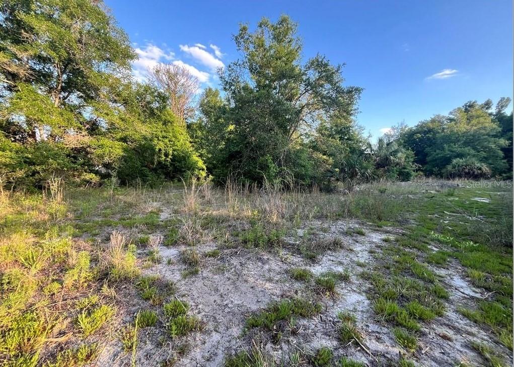 8376 W CATRINA LN, CRYSTAL RIVER, FL, 34428