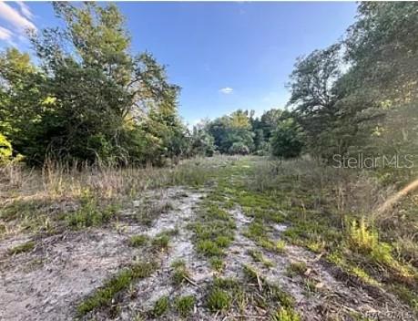 8376 W CATRINA LN, CRYSTAL RIVER, FL, 34428
