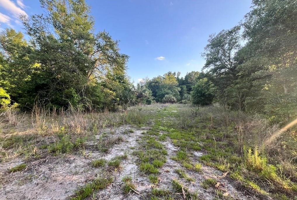 8376 W CATRINA LN, CRYSTAL RIVER, FL, 34428