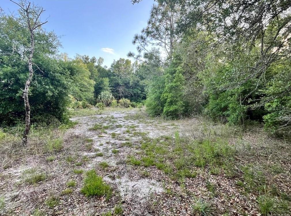 8376 W CATRINA LN, CRYSTAL RIVER, FL, 34428