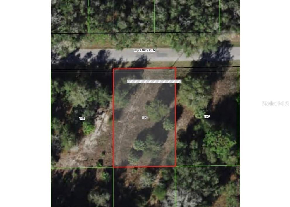 8376 W CATRINA LN, CRYSTAL RIVER, FL, 34428