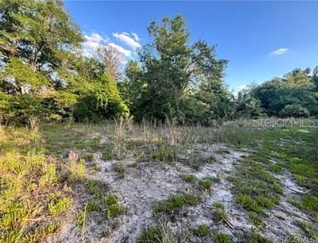 8376 W CATRINA LN, CRYSTAL RIVER, FL, 34428