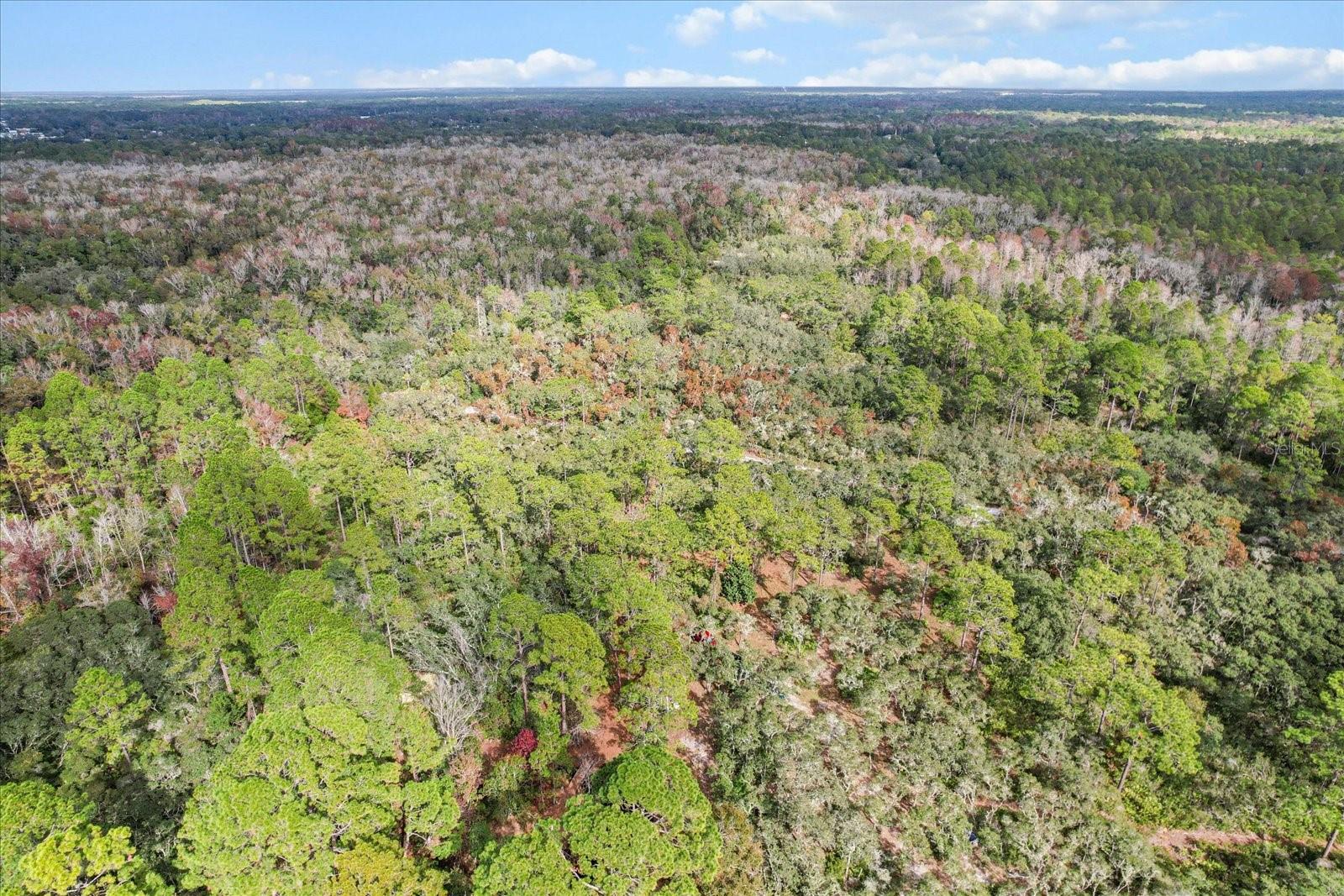 5408 S BENTON TER, HOMOSASSA, FL, 34448