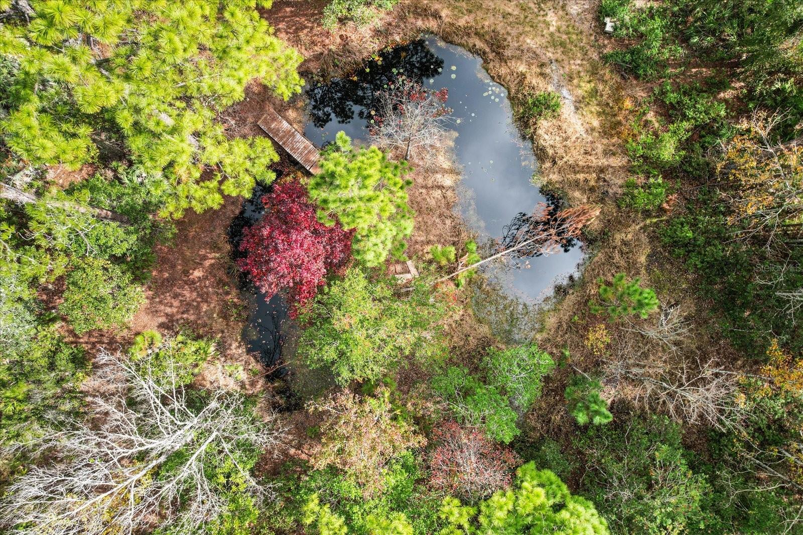 5408 S BENTON TER, HOMOSASSA, FL, 34448