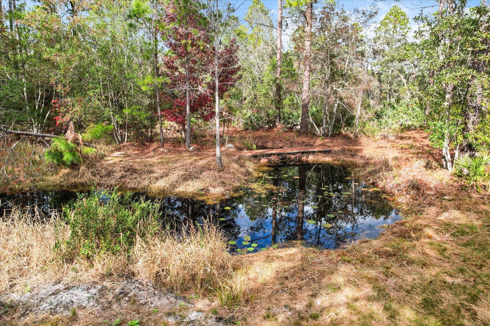 5408 S BENTON TER, HOMOSASSA, FL, 34448