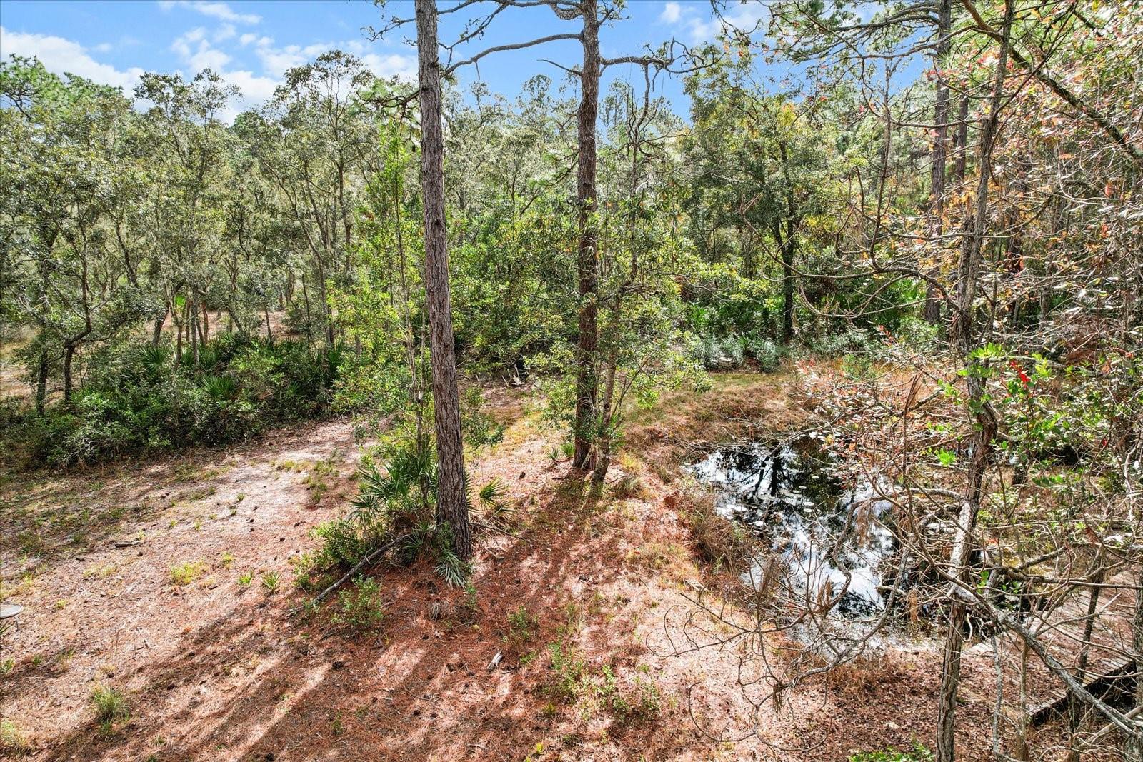 5408 S BENTON TER, HOMOSASSA, FL, 34448