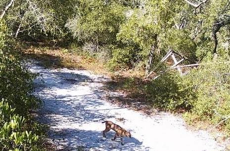 5408 S BENTON TER, HOMOSASSA, FL, 34448