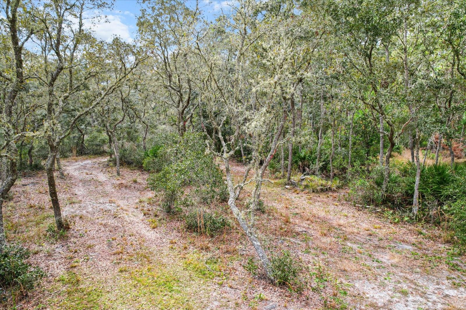 5408 S BENTON TER, HOMOSASSA, FL, 34448