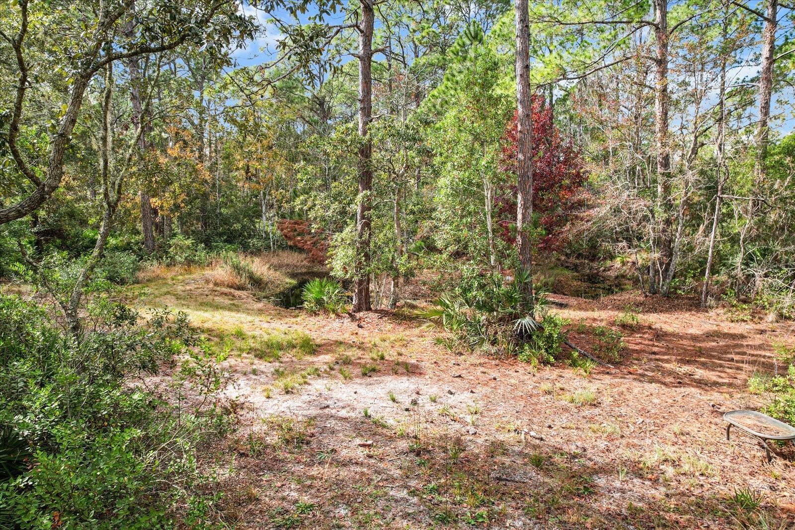 5408 S BENTON TER, HOMOSASSA, FL, 34448