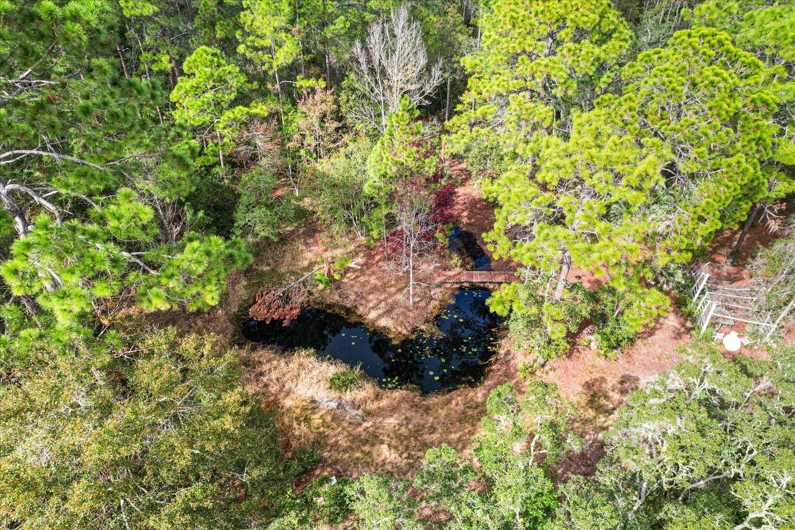 5408 S BENTON TER, HOMOSASSA, FL, 34448