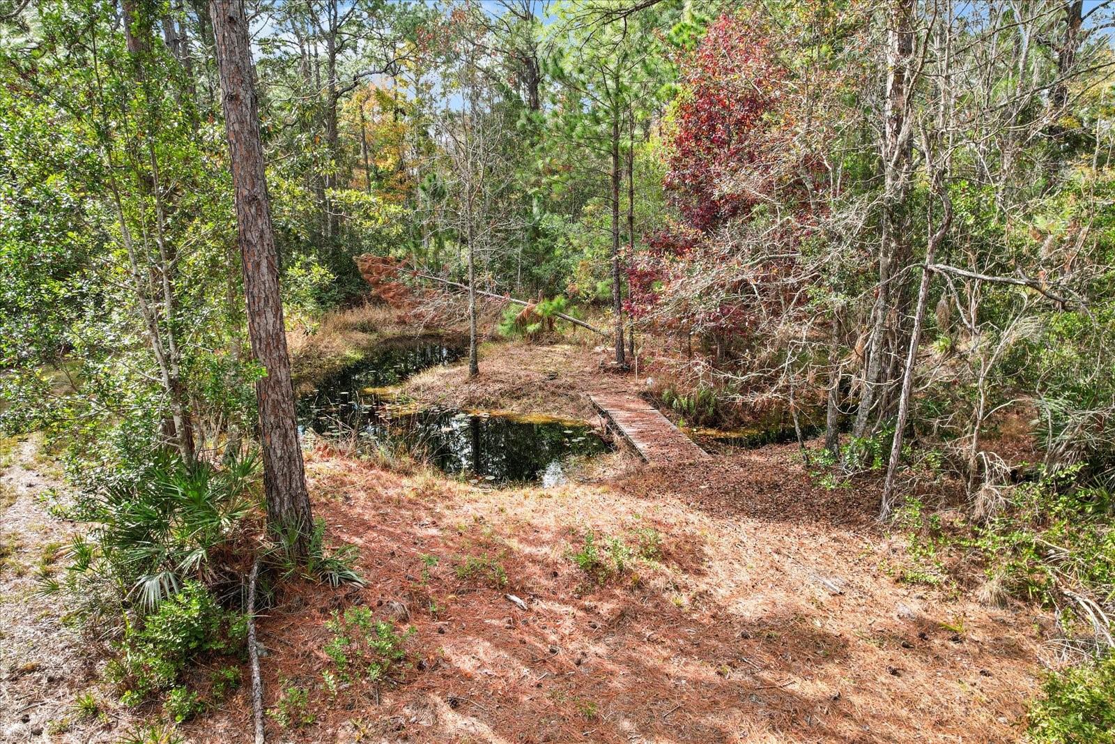 5408 S BENTON TER, HOMOSASSA, FL, 34448