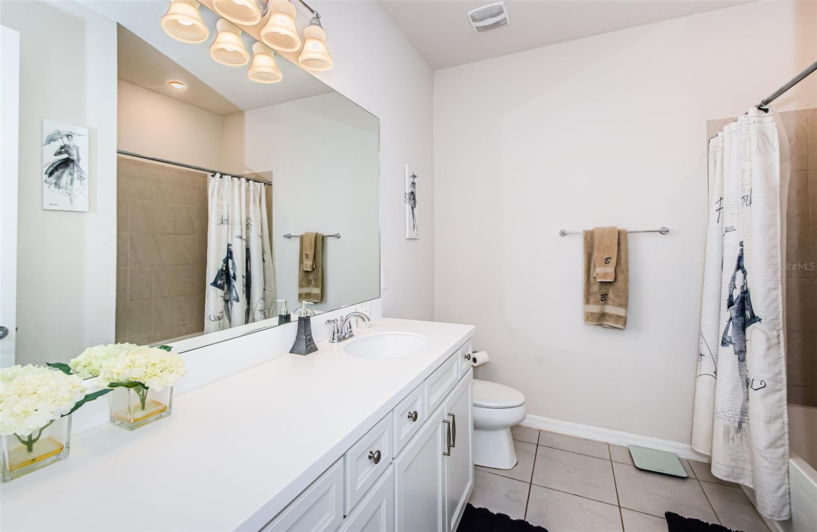 19263 BRIARBROOK DR, TAMPA, FL, 33647
