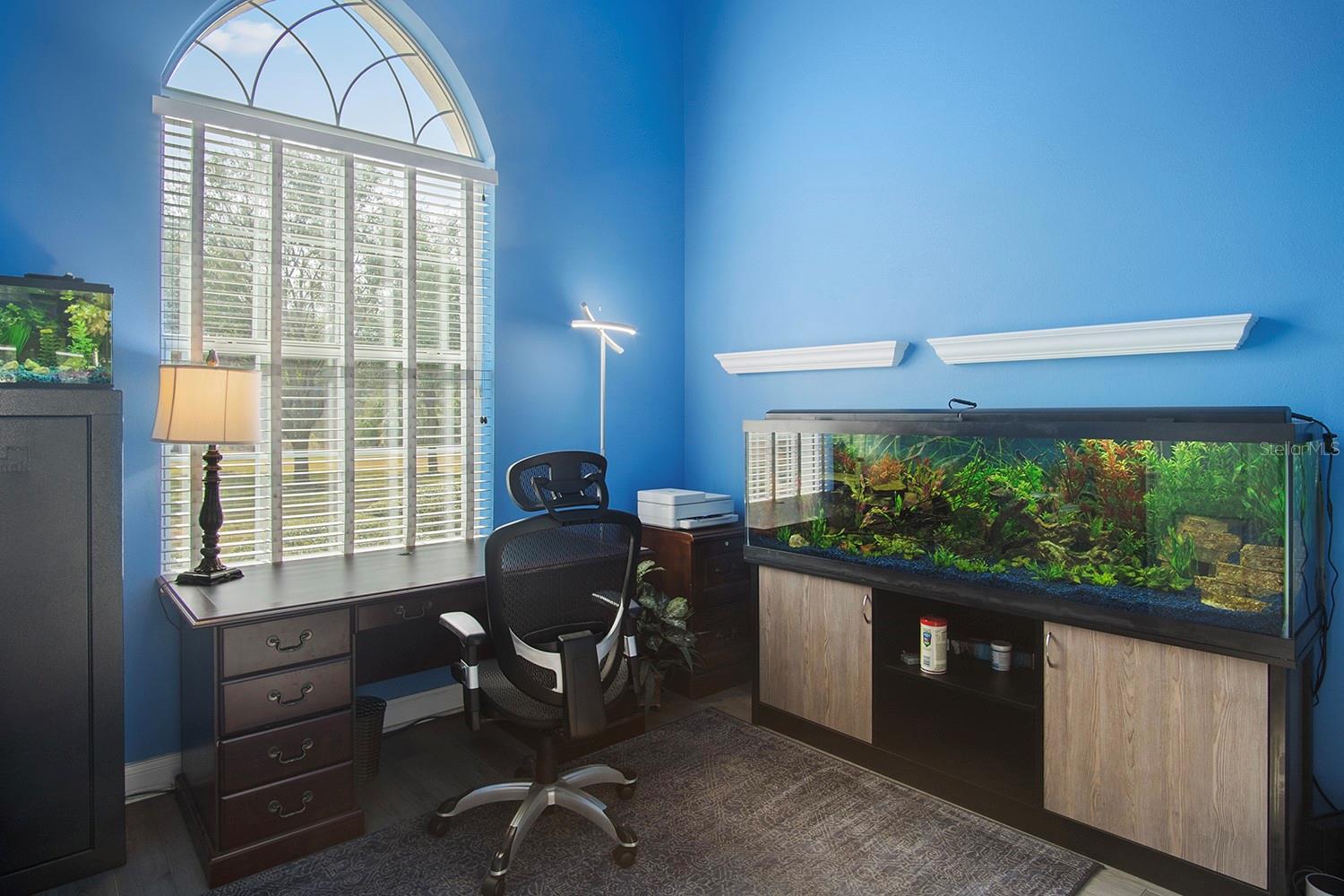 10331 FOX SPARROW AVE, WEEKI WACHEE, FL, 34613