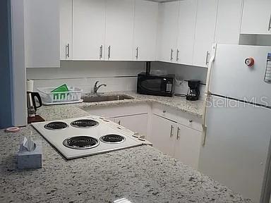 880 MANDALAY AVE #N204, CLEARWATER BEACH, FL, 33767