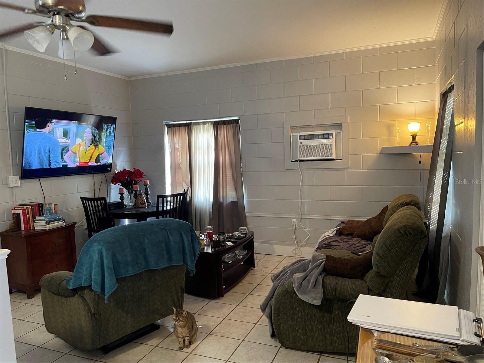 30 LAKESIDE AVE, UMATILLA, FL, 32784