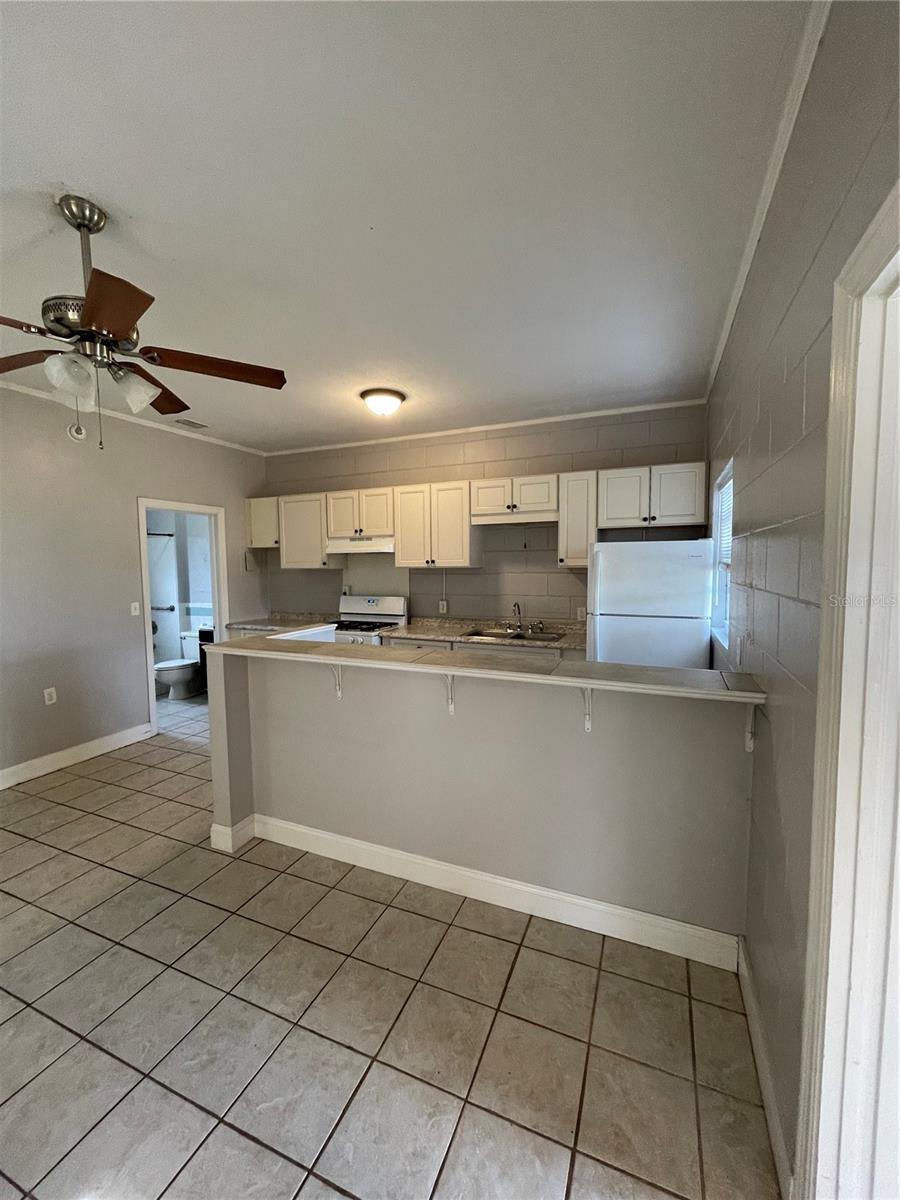 30 LAKESIDE AVE, UMATILLA, FL, 32784