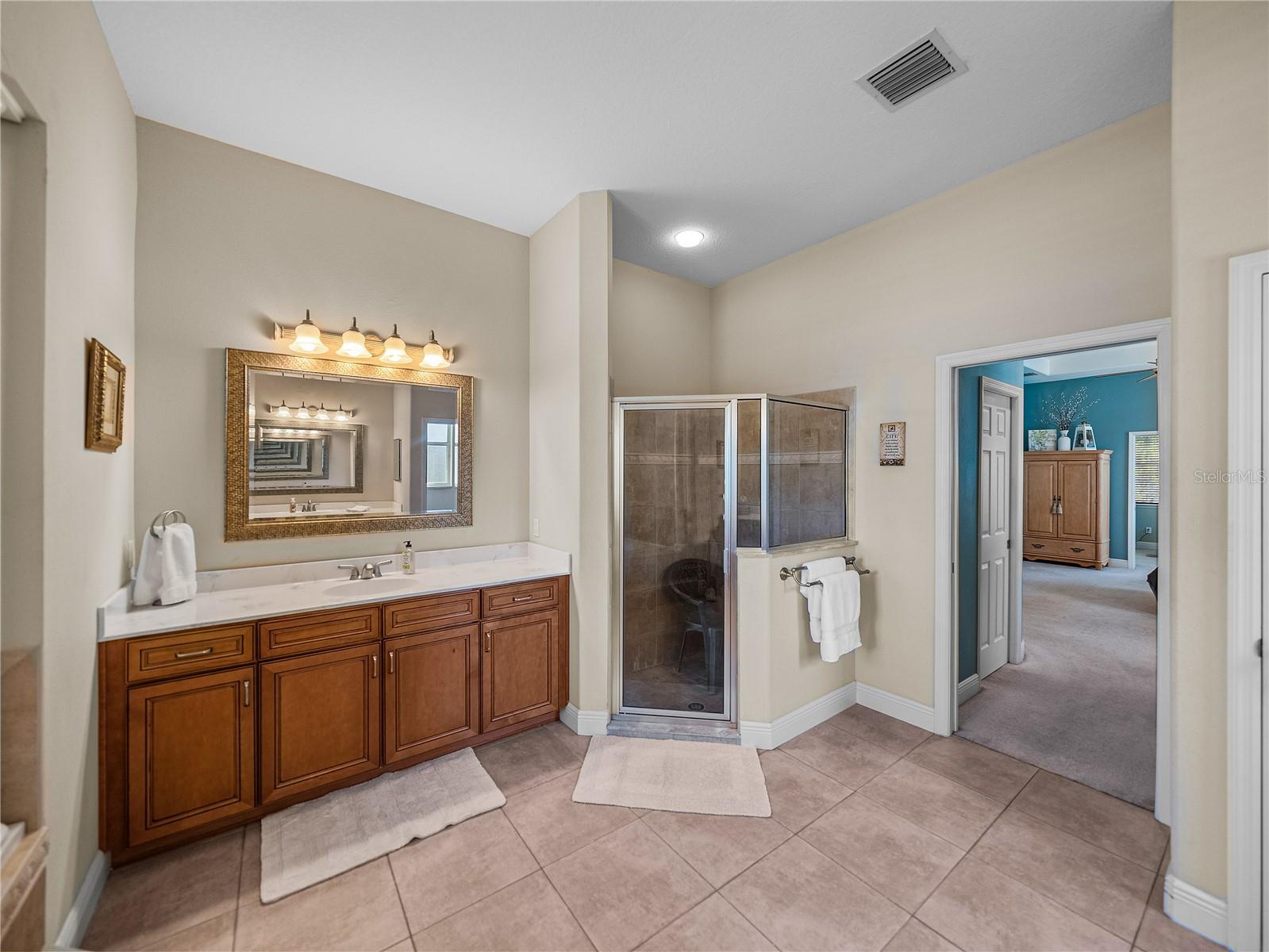 1111 CARRIAGE PARK DR, VALRICO, FL, 33594