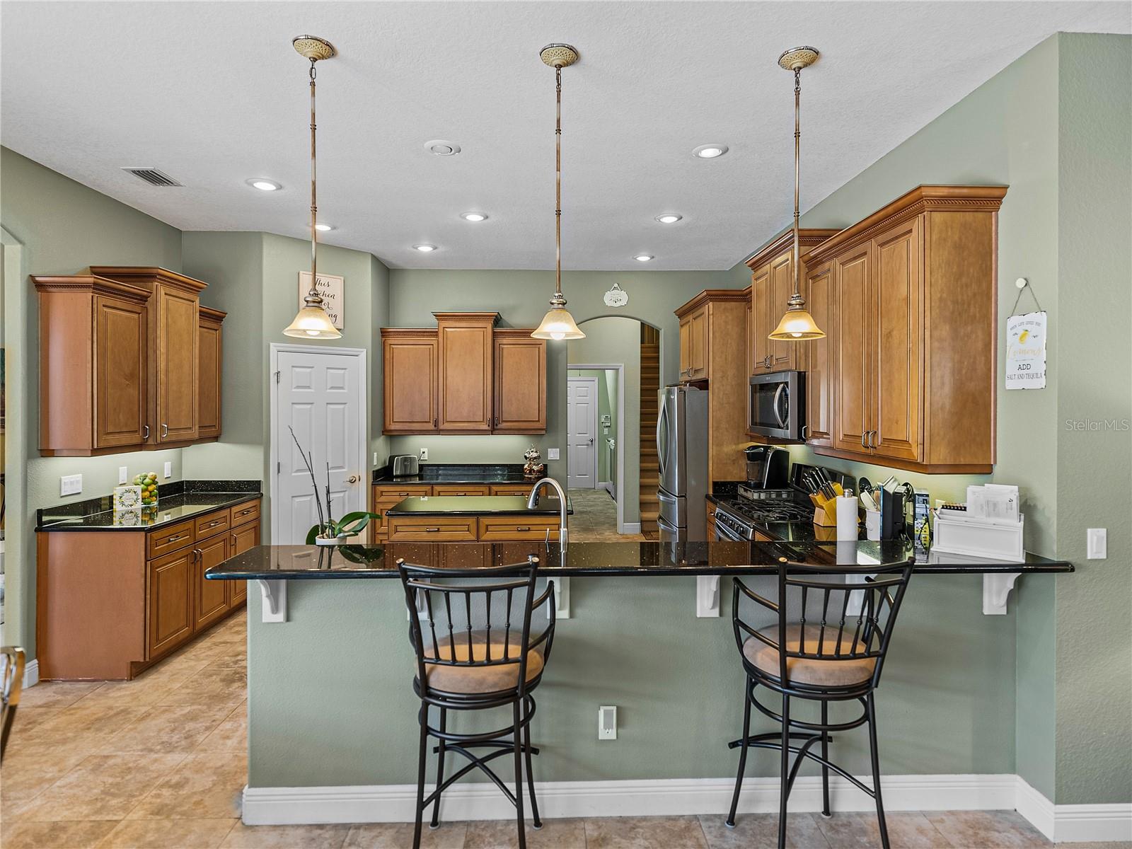 1111 CARRIAGE PARK DR, VALRICO, FL, 33594