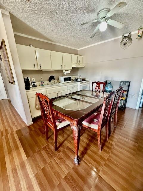 1330 SKYVIEW BLVD, LAKELAND, FL, 33801