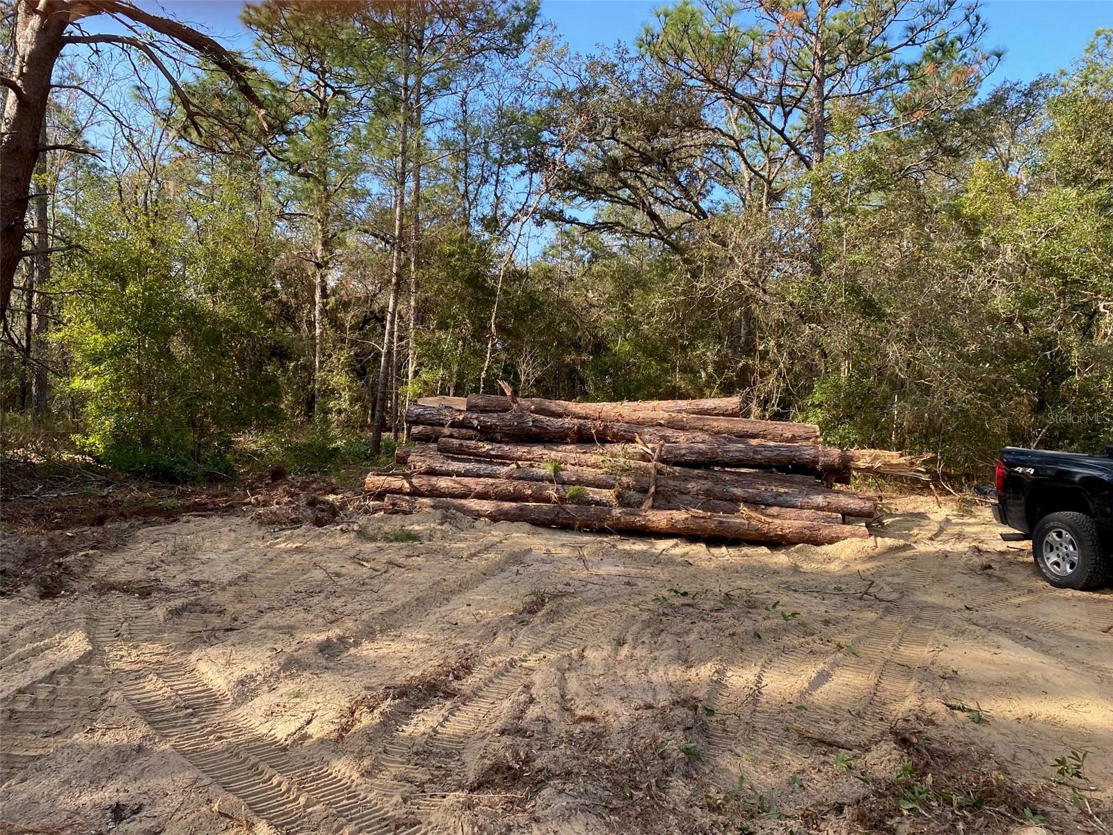 2876 SW 167TH AVE, OCALA, FL, 34481