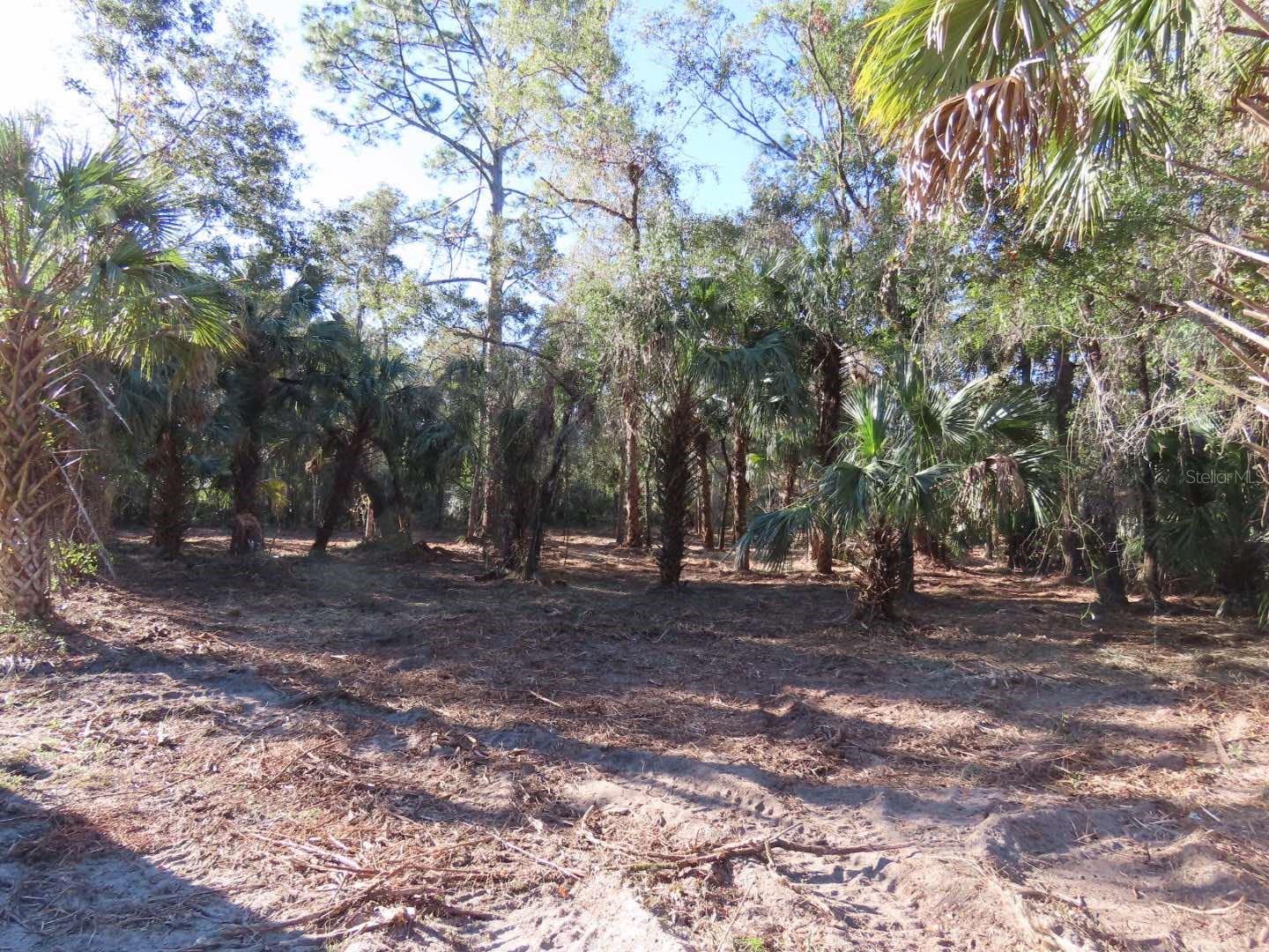 9022 N CACALIA DR, CRYSTAL RIVER, FL, 34428