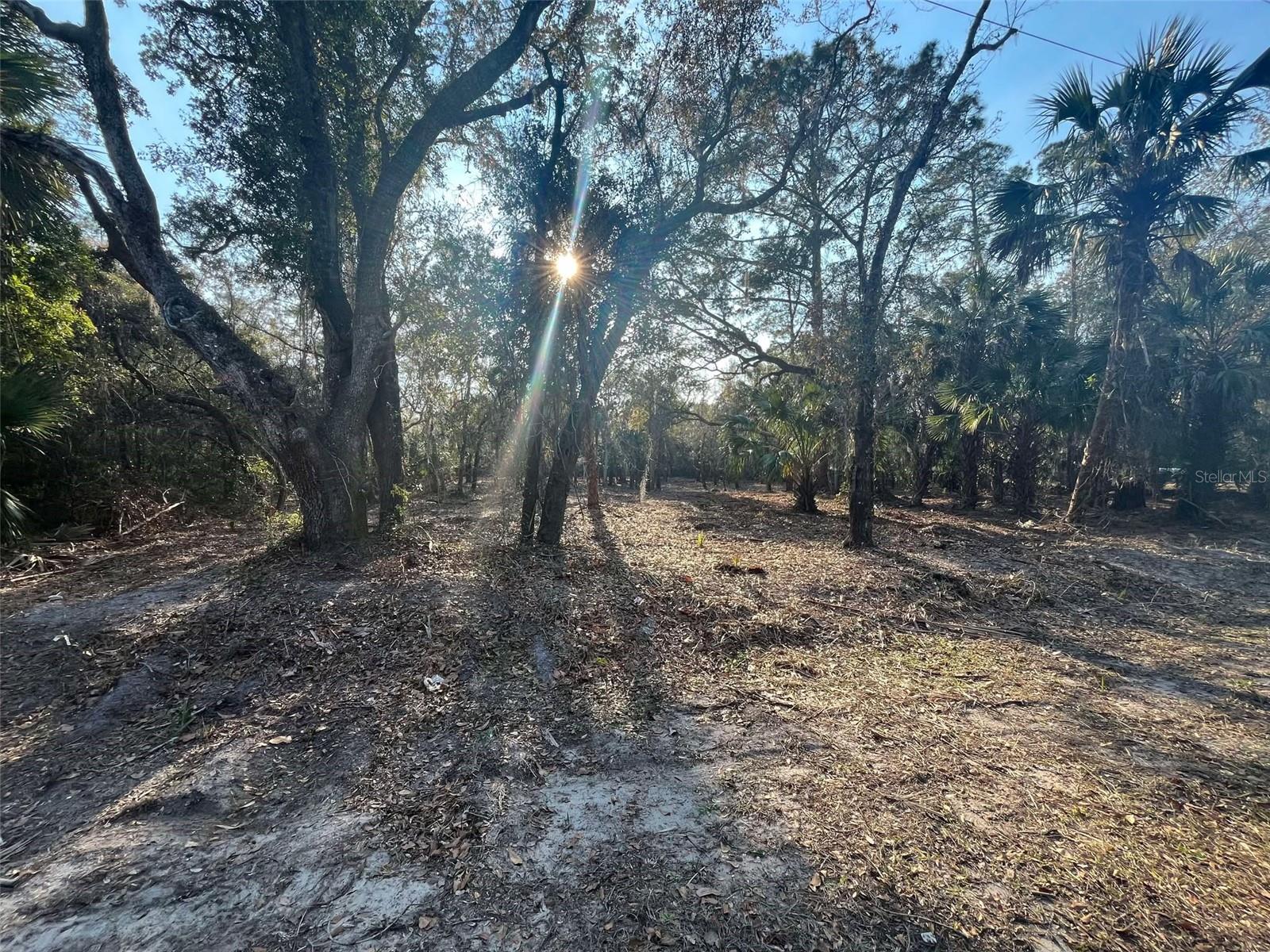 9022 N CACALIA DR, CRYSTAL RIVER, FL, 34428
