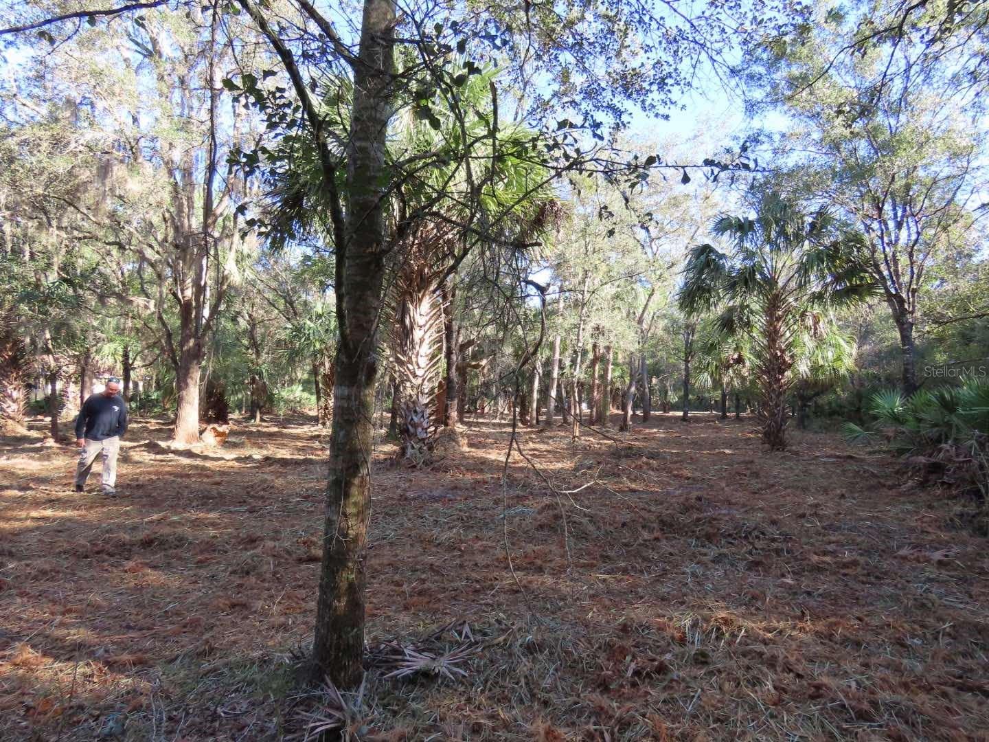 9022 N CACALIA DR, CRYSTAL RIVER, FL, 34428