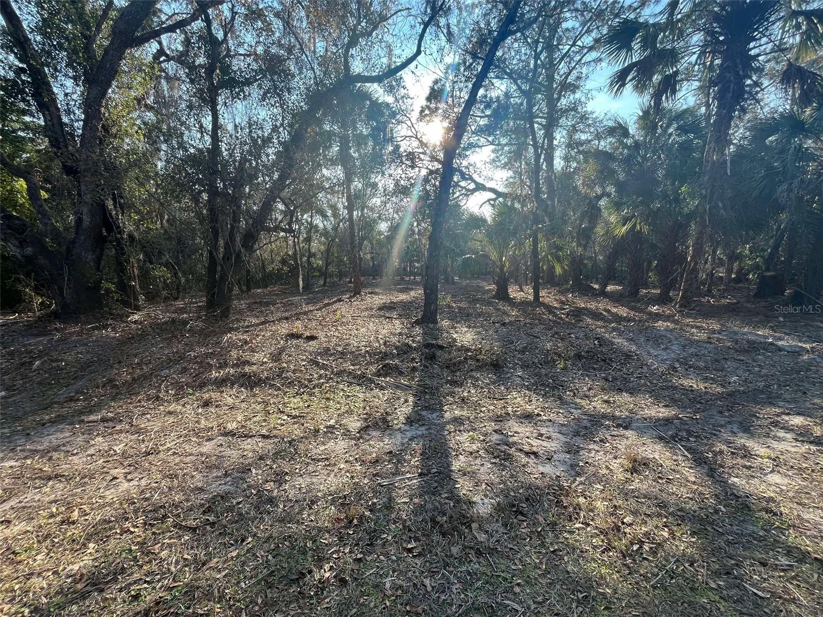 9022 N CACALIA DR, CRYSTAL RIVER, FL, 34428