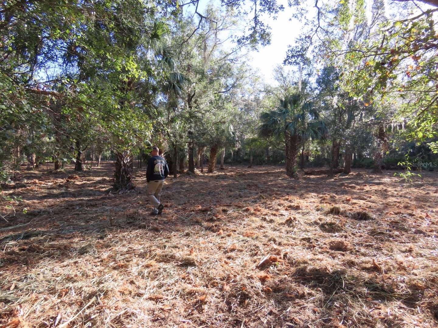 9022 N CACALIA DR, CRYSTAL RIVER, FL, 34428