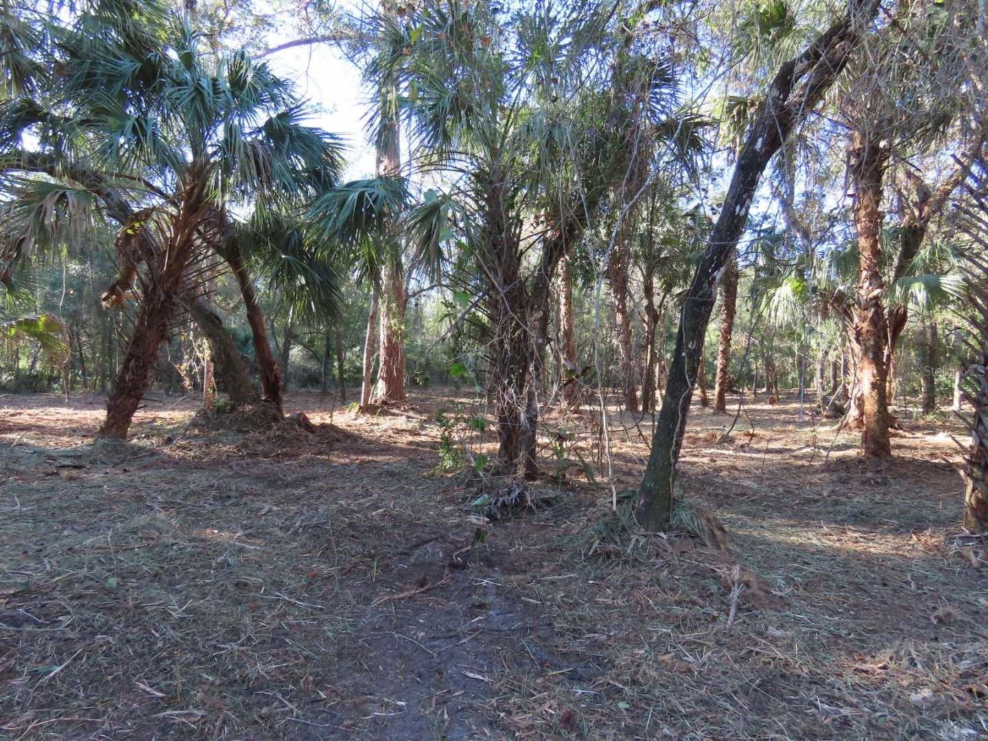 9022 N CACALIA DR, CRYSTAL RIVER, FL, 34428