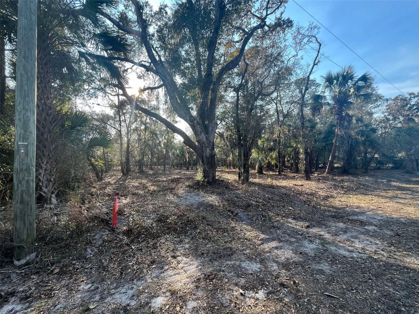 9022 N CACALIA DR, CRYSTAL RIVER, FL, 34428