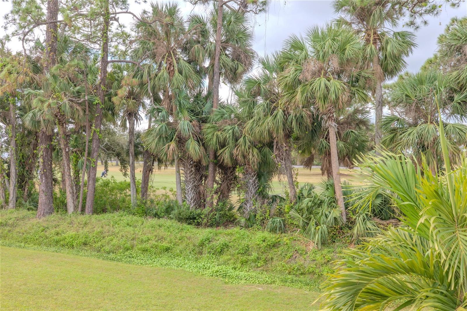 1504 VIRGINIA AVE #216, DAYTONA BEACH, FL, 32114
