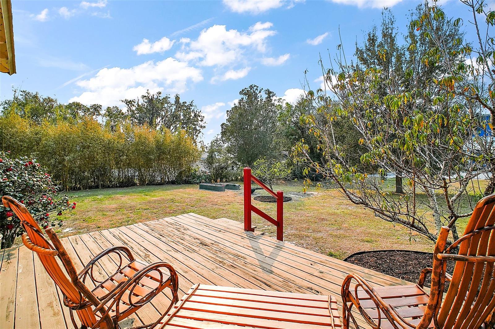 7206 EARLWOOD AVE, MOUNT DORA, FL, 32757