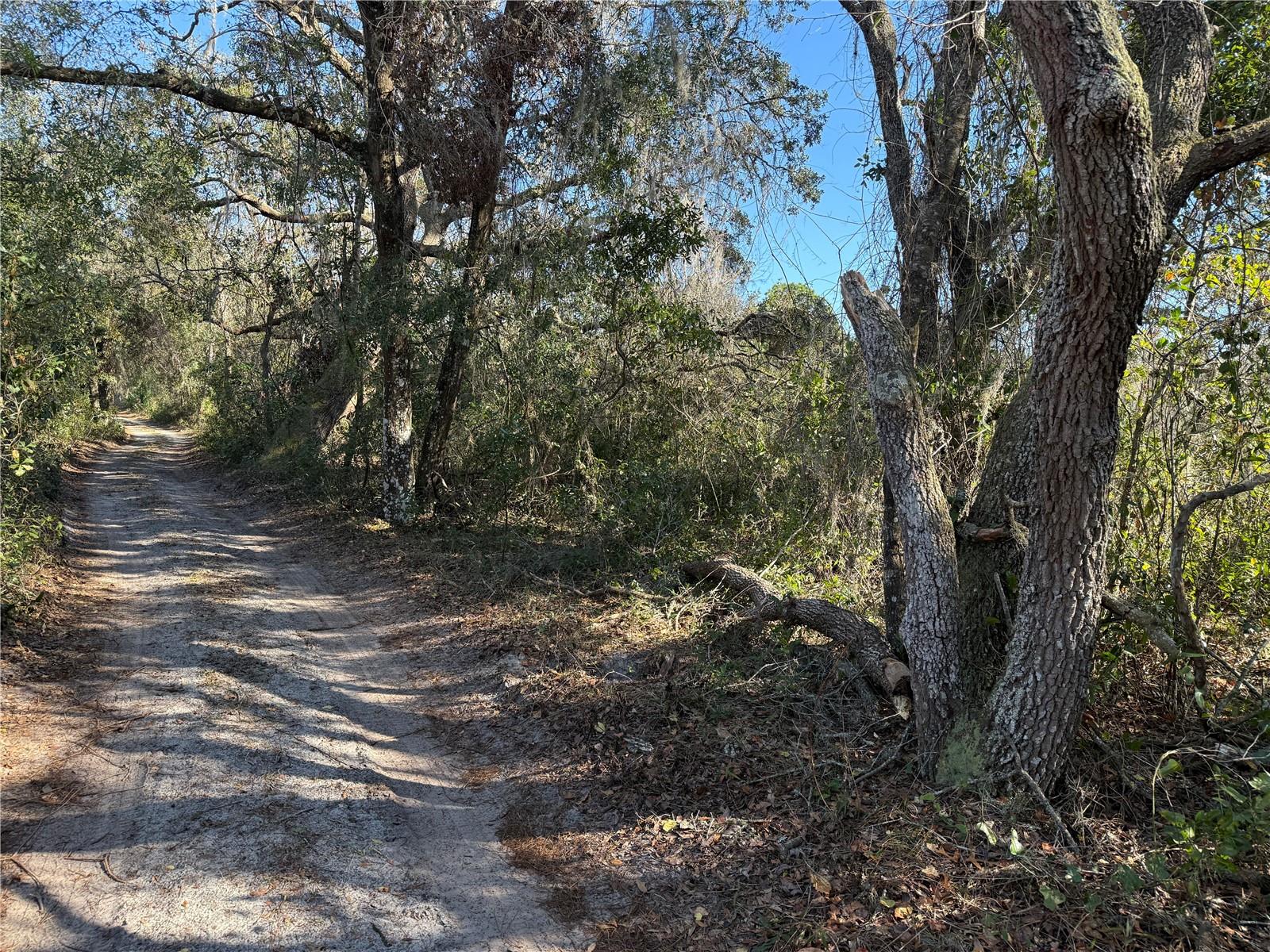 TBD TWORUT ROAD, DADE CITY, FL, 33523