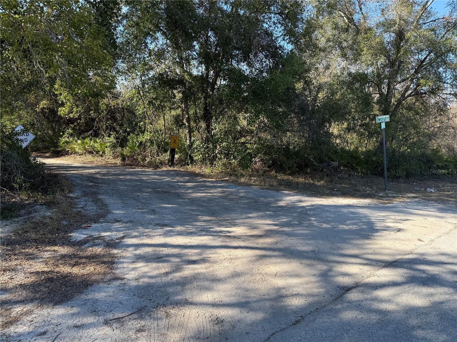 TBD TWORUT ROAD, DADE CITY, FL, 33523