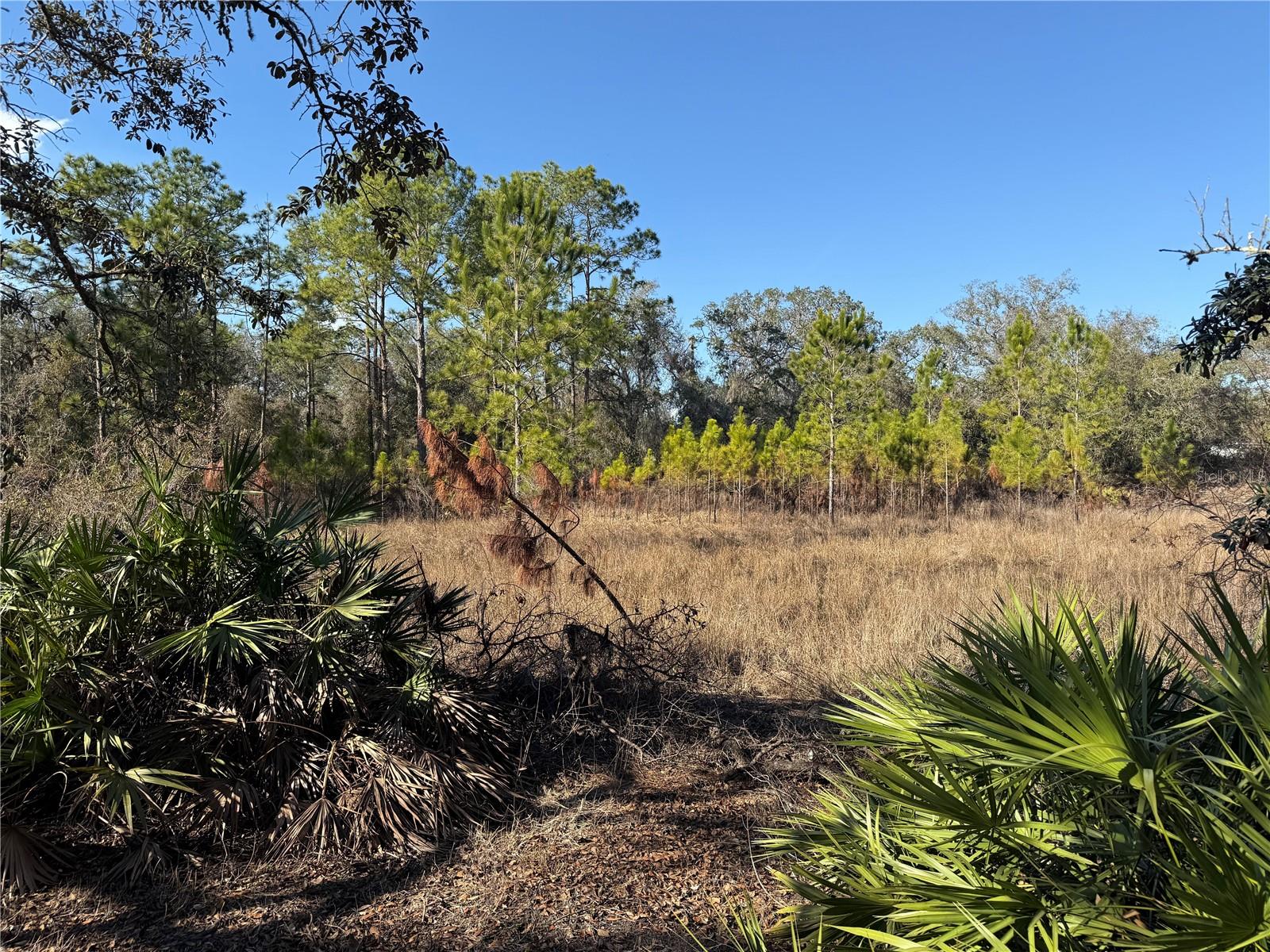 TBD TWORUT ROAD, DADE CITY, FL, 33523