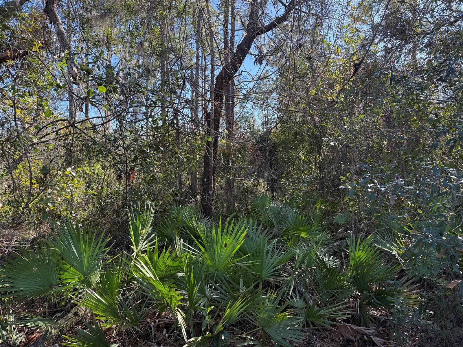 TBD TWORUT ROAD, DADE CITY, FL, 33523