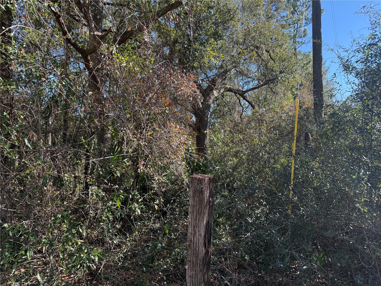 TBD TWORUT ROAD, DADE CITY, FL, 33523