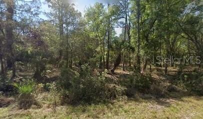 105 CHIPOLA DR, GEORGETOWN, FL, 32139