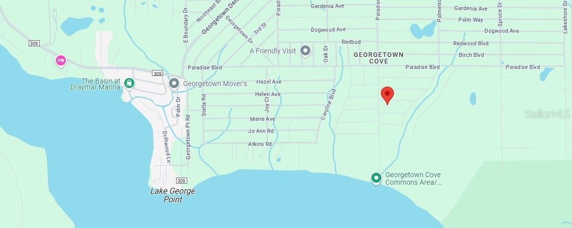 105 CHIPOLA DR, GEORGETOWN, FL, 32139