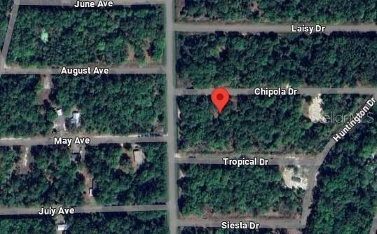105 CHIPOLA DR, GEORGETOWN, FL, 32139