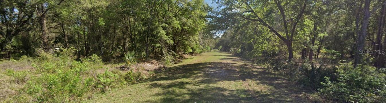 105 CHIPOLA DR, GEORGETOWN, FL, 32139